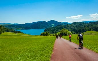Vier Radfahrer auf einem asphaltierten Weg durch grüne Wiesen mit Czorsztyn-See und bewaldeten Bergen im Hintergrund unter blauem Himmel.