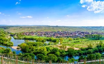 Panoramablick auf die Volkacher Mainschleife mit dem Main, der sich durch grüne Weinberge und Felder schlängelt, mit der Stadt Volkach in der Mitte.