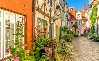 Kopfsteinpflastergasse in Lübecks Altstadt mit Fachwerkhäusern, bunten Fassaden und blühenden Stockrosen. Historische Gebäude säumen die enge Straße.