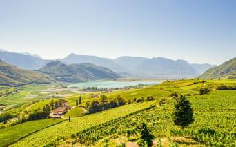 Panoramablick auf den Kalterer See umgeben von grünen Weinbergen, Zypressen und Bergketten unter klarem blauen Himmel in Südtirol, Italien.
