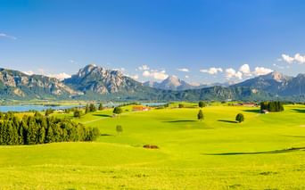 Panoramablick bei Füssen mit leuchtend grünen Wiesen, vereinzelten Bäumen und einer Bergkette unter blauem Himmel mit weißen Wolken.