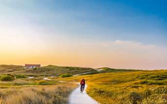 Einzelner Radfahrer auf weißem Sandweg durch goldene Dünenlandschaft auf der Insel Terschelling bei Sonnenuntergang, Häuser auf fernen Hügeln.