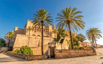 Kathedrale von Palma auf Mallorca mit goldenen Steinmauern und gotischer Architektur, umgeben von hohen Palmen unter blauem Himmel.