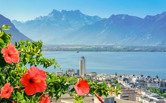 Stadtbild von Montreux mit Genfersee und Schweizer Alpen. Rote Hibiskusblüten rahmen die Aussicht auf die Stadt am See und die Berge.