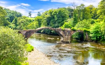 Historische Steinbogenbrücke über einem flachen Fluss im Forest of Bowland, umgeben von üppigen grünen Bäumen unter blauem Himmel.