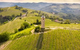 Steinturm umgeben von grünen Weinbergreihen in Canelli. Hügelige Landschaft mit Weinbergen und vereinzelten Gebäuden unter bewölktem Himmel.