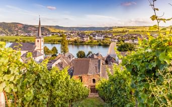 Weinbergreihen in Piesport führen zur Mosel mit Kirchturm, Dorfhäusern und sanften Hügeln unter blauem Himmel.