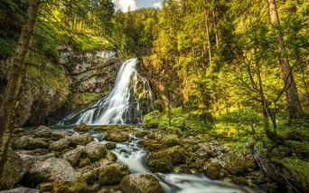 Gollinger Wasserfall stürzt über felsige Klippen, umgeben von üppigem grünen Wald. Moosbewachsene Felsen im Vordergrund mit fließendem Bach.