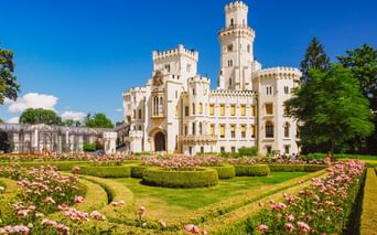 Weißes Schloss Hluboka mit Türmen und Zinnen, umgeben von formalen Gärten mit rosa Rosen und geschnittenen Hecken unter blauem Himmel.