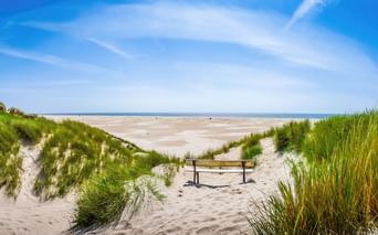 Holzbank auf sandigem Weg zwischen grasbewachsenen Dünen, die zu einem breiten Nordseestrand unter blauem Himmel mit Schleierwolken führt.