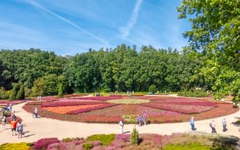 Bunter Heidegarten in Schneverdingen mit kreisförmigen Beeten aus lila, rosa und gelb blühenden Pflanzen. Besucher gehen auf geschwungenen Wegen.