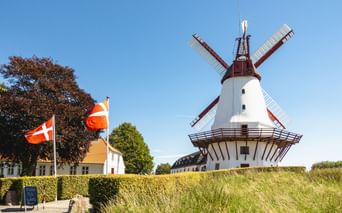 Weiße Windmühle mit brauner Haube und Flügeln auf einem grünen Hügel. Zwei dänische Flaggen wehen davor, daneben ein gelbes Haus und Bäume.