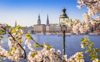 Blick auf Hamburgs Jungfernstieg mit historischen Gebäuden und Kirchtürmen über der Alster, eingerahmt von weißen Kirschblüten und einer Straßenlaterne.