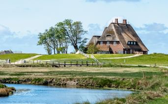 Traditionelles Reetdachhaus auf erhöhter Warft auf Hallig Hooge mit Bäumen, Holzstegen und Wassergraben im Vordergrund unter blauem Himmel.
