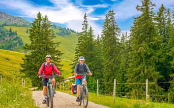 Zwei Radfahrer auf Mountainbikes auf einem Schotterweg bei Oberstaufen, Bayern. Grüne Almwiesen, Nadelbäume und Berge unter blauem Himmel.