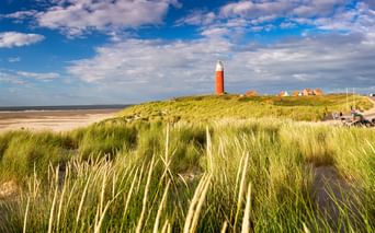 Roter Leuchtturm auf grasbewachsenen Dünen auf der Insel Texel mit Strandgräsern im Vordergrund, Sandstrand und Häusern unter blauem Himmel.