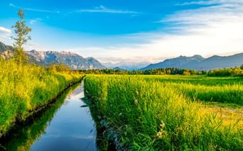 Wasserkanal durch grüne Feuchtwiesen im Murnauer Moos mit Bergen im Hintergrund unter blauem Himmel.