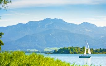 Weißes Segelboot auf dem Chiemsee in Bayern mit grünem Schilf im Vordergrund und bewaldeten Bergen unter blauem Himmel im Hintergrund.