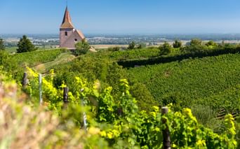 Kirche mit spitzem Turm umgeben von grünen Weinbergen unter blauem Himmel. Die Simultankirche Saint-Jacques-le-Majeur steht auf einem Hügel in Frankreich.