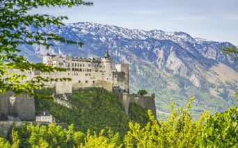 Festung Hohensalzburg auf einem bewaldeten Hügel in Salzburg, eingerahmt von grünem Laub, mit schneebedeckten Bergen im Hintergrund.