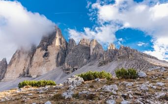 Drei Zinnen Bergformation mit dramatischen Felsgipfeln unter blauem Himmel mit weißen Wolken. Almwiese mit niedriger Vegetation im Vordergrund.