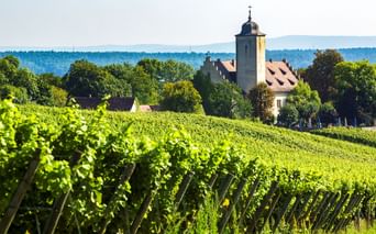 Schloss Hallburg mit Turm und rotem Dach umgeben von grünen Weinbergen bei Volkach, mit Bäumen und fernen Hügeln unter klarem Himmel.