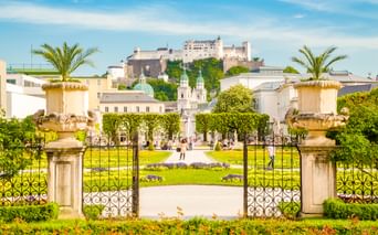 Blick durch verzierte Tore mit Palmen in den Mirabellgarten. Bunte Blumenbeete säumen den Weg zu barocken Gebäuden und der Festung Salzburg.