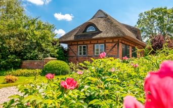 Traditionelles Reetdachhaus in Blekendorf mit Ziegelwänden und Holzläden, umgeben von einem üppigen Garten mit rosa Rosen im Vordergrund.