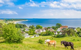 Zwei Pferde grasen auf einer grünen Wiese mit Blick auf das Dorf Göhren und die Ostsee. Häuser und Bäume sind im Mittelgrund sichtbar.