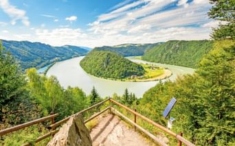 Holztreppe führt vom Aussichtspunkt zur Donauschlinge hinab, wo der Fluss eine bewaldete Halbinsel unter blauem Himmel umfließt.