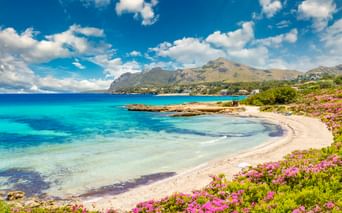 Malerischer Strand Platja de San Pere bei Alcudia mit türkisfarbenem Wasser, weißem Sand, rosa Blumen und Bergen unter blauem Himmel.