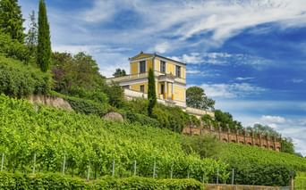 Yellow Pompejanum villa atop a green hillside in Aschaffenburg with terraced walls, cypress trees, and blue sky with white clouds.