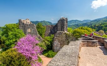Steinruinen der Burg Badenweiler mit Türmen und Mauern, umgeben von grünen Bäumen und rosa Blüten. Berge im Hintergrund unter blauem Himmel.