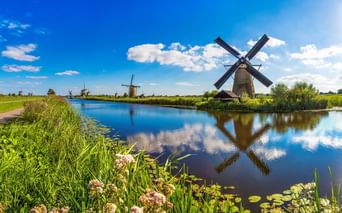 Traditionelle niederländische Windmühlen entlang eines Kanals in Kinderdijk mit blauem Himmel und Wildblumen im Vordergrund. Die Windmühlen spiegeln sich im Wasser.
