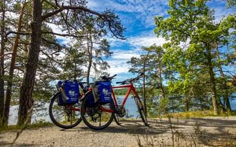 Zwei Tourenräder mit blauen Taschen auf einem felsigen Waldweg mit Blick auf den schwedischen Schärengarten mit Kiefern und blauem Wasser.