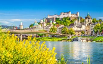 Salzburger Altstadt mit Festung Hohensalzburg auf dem Hügel, historischen Gebäuden, Kirchenkuppeln, Salzach und gelben Blütensträuchern im Vordergrund.