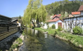 Klare Altmühl fließt durch Kinding mit traditionellen Häusern, großer Weide und bewaldeten Hügeln unter blauem Himmel.