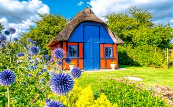 Reetdachhaus in Middelfart mit blauer Tür, orangen Wänden und roten Fensterläden, umgeben von buntem Garten mit blauen Kugeldisteln und gelben Blumen.