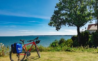 Rotes Reiserad mit blauen Packtaschen auf Gras mit Blick auf türkisfarbenes Meer in Jütland. Großer Baum und Haus unter blauem Himmel.