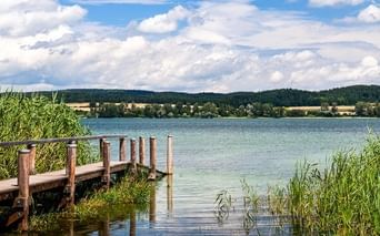 Wooden jetty extending into Lake Constance at Reichenau, surrounded by reeds. Forested hills and fields visible across the calm water under a cloudy sky.