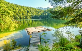 Holzsteg führt zu einer Plattform am Toplitzsee, umgeben von dichtem Wald und Bergen unter klarem blauen Himmel in Österreich.