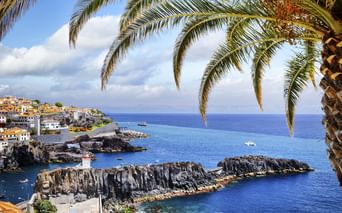 Malerischer Küstenblick auf Câmara de Lobos auf Madeira, eingerahmt von Palmwedeln, mit vulkanischen Felsformationen, blauem Meer mit Booten und bunten Häusern.