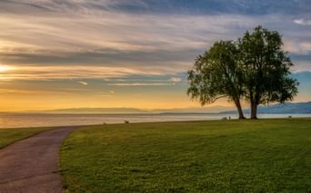 Gepflasterter Weg durch grüne Wiese zum Bodensee bei Sonnenuntergang. Zwei Bäume stehen am Ufer mit goldenem Himmel und fernen Bergen.