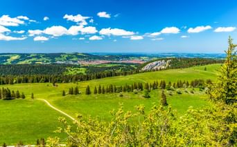 Grüne Hügellandschaft mit vereinzelten Nadelbäumen bei La Chaux-de-Fonds, Schweiz. Ein Weg durchquert die Wiesen, die Stadt ist in der Ferne sichtbar.