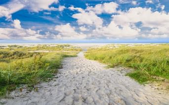Sandweg führt durch grünes Dünengras zum Strand auf Langeoog. Blauer Himmel mit weißen Wolken über der Küstenlandschaft.