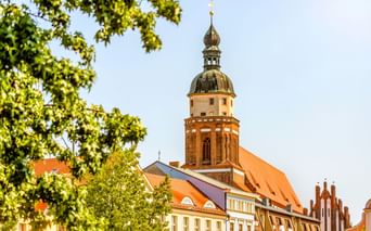 Roter Backsteinkirchturm mit barocker Kuppel in Cottbus, eingerahmt von grünen Bäumen. Historische Gebäude mit orangen Dächern im Vordergrund.