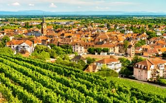 Luftaufnahme von Obernai mit orangefarbenen Ziegeldächern, Kirchturm und grünen Weinbergen im Vordergrund. Berge in der Ferne sichtbar.