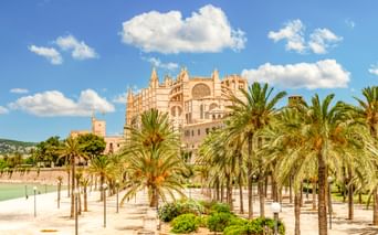 Palmengesäumte Promenade im Parc de la Mar in Palma mit der gotischen Kathedrale La Seu hinter Palmen unter blauem Himmel mit weißen Wolken.