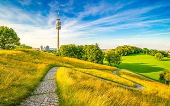 Gewundener Kopfsteinpflasterweg durch goldene Grashügel im Münchner Olympiapark mit dem Olympiaturm vor blauem Himmel.