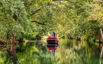Person steuert einen roten Kahn auf einem ruhigen Kanal, umgeben von üppig grünen Bäumen. Die Bäume und der Kahn spiegeln sich im Wasser.
